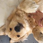 88岁拄拐学习
