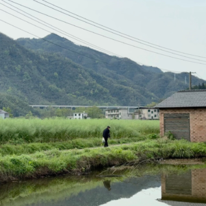 14、农历三月，是思念的季节