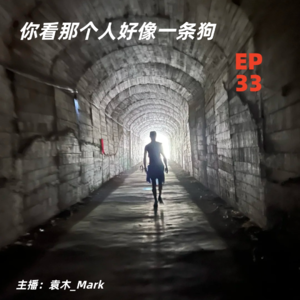 33. 你看那个人好像一条狗