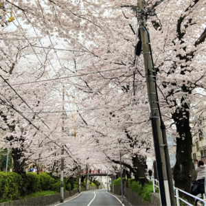 E41 | 樱花很美，但在东京谈恋爱为什么这么难？