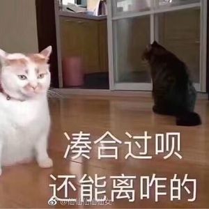 用真心就可以吗