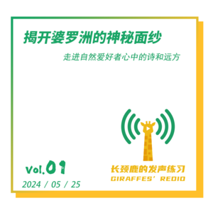 小鹿的旅行｜Ｖｏｌ．０１揭开婆罗洲的神秘面纱，走进自然爱好者心中的诗和远方