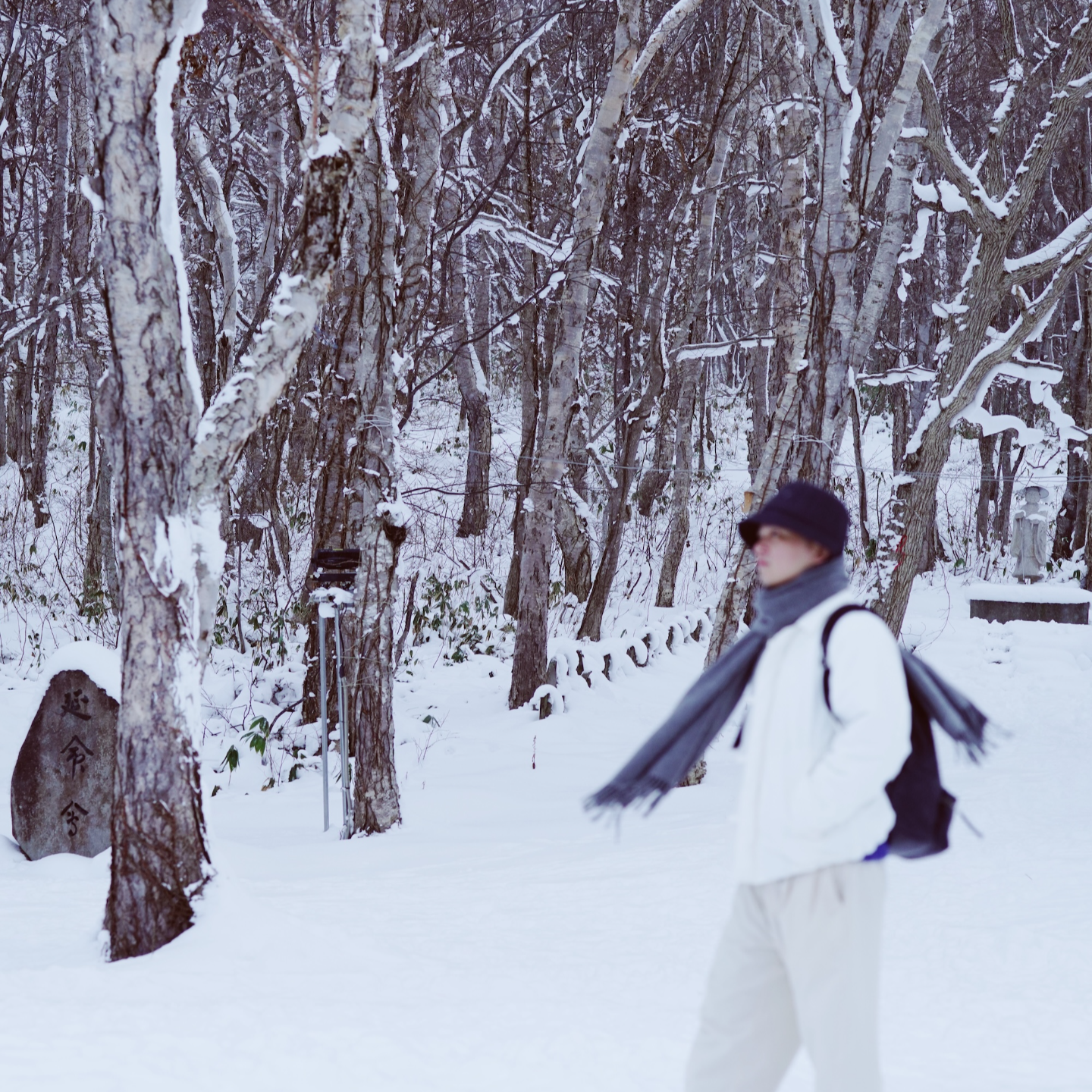 cover of episode 139【旅行特辑】去东京暴走了3天，还跑去小樽看了雪……