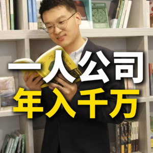 一人公司年入千万