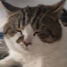 松松松松松松松松