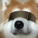 自由而悲恸的云