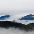 开心椰_