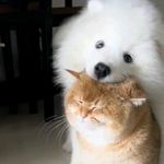 您的昵称已被占用