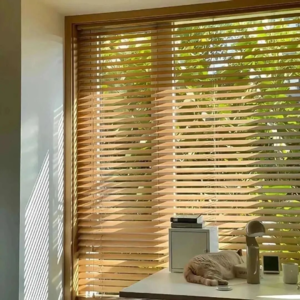 串台012｜ 聊聊转型、变革与自我觉察 —— 在不确定中找到主动的力量