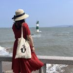 小猪爱聊天