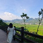 想发财的小七七