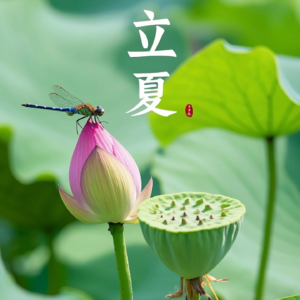 Vol.13 立夏日开启辛巳月|十天干运势详参考 （5.5日-6.4日）