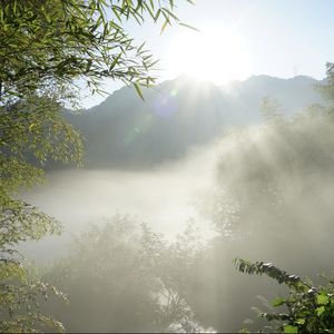 做播客的小罗酱