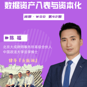 vol.42 数据资产入表与资本化
