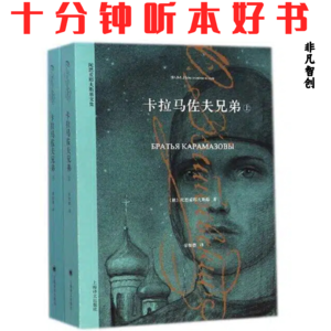 018《卡拉马佐夫兄弟》| 陀思妥耶夫斯基的文学巅峰，人性与社会的深刻剖析