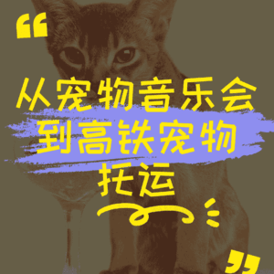 从宠物音乐会到高铁宠物托运