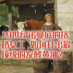 19世纪诺曼底的挤奶女工，如何手动打出最顶级的黄油？#助眠 #助眠故事 #睡前故事