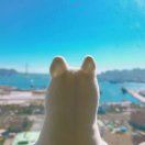 花生米_oIWk