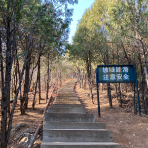 063. i人如何向上社交，借助他人势能放大自己？