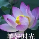 美好时光_Mp8H