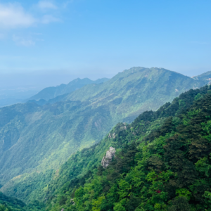 009 不识庐山全面目
