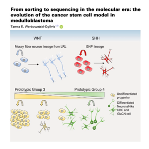 638-髓母细胞瘤中的癌症干细胞模型演变