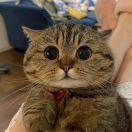 两块的天真与不天真