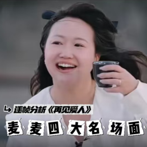 【不吐不快】逐帧分析《再见爱人》麦麦四大名场面