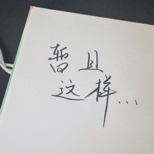 暂且是个Intro...