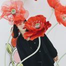 奥利奥小霸王