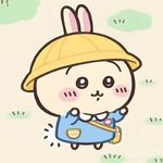 地中海气候的橄榄