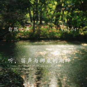 听，笛声与挪威的湖畔｜回归平衡 平和与内心智慧