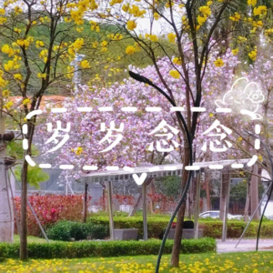 Vol.35 四月专栏：在书影与情绪间寻找自我