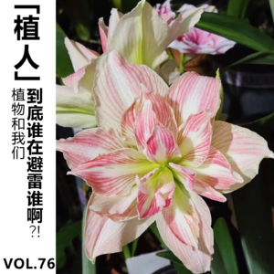 Vol.76【植人】植物和我们到底谁在避雷谁啊?!