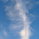 晓晓霞霞