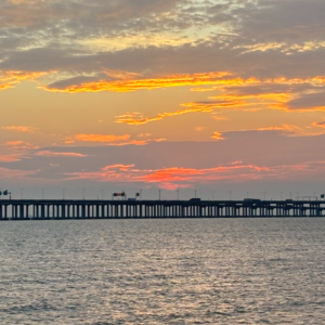 独处还是社交，我们都有选择