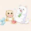小布丁__kUo