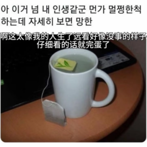 42.2025年终问答，我和世界都有变得更好吗？