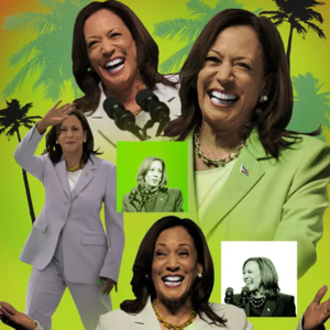 vol.63 女性领导人、刻板印象与美国大选：一位政治学博士生的性别政治观察