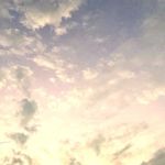 JC_Yingyi