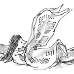 whale_OXlW