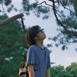 Oliver的胡同生活