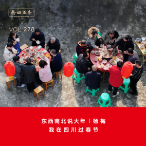 Vol.276 东西南北说大年|杨梅：我在四川过春节
