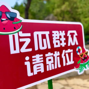 22.我的亲戚是奇葩，过年回家全是瓜