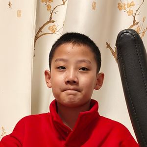 第十回 五庄观偷吃人参果25