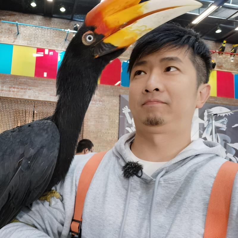 大鱼丸本丸