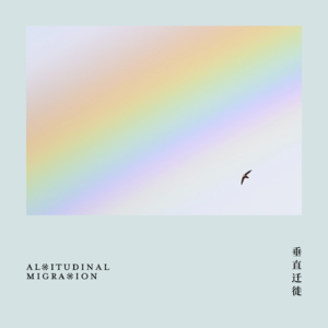 随便聊点鸟｜我爱烟囱雨燕