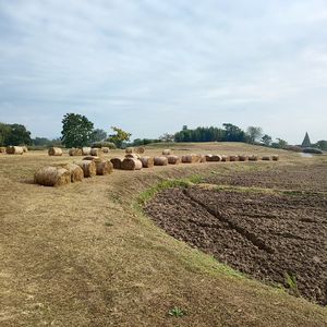 2025年度最佳哲学书籍:专家推荐与解读