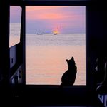 sunset_h