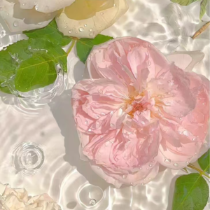 VOL210.整个大自然冲你微笑；你独自垂泪，而鲜花盛开了。